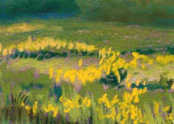 "Land Ethic In Bloom" by Wendy Crone, McFarland WI - Pastel